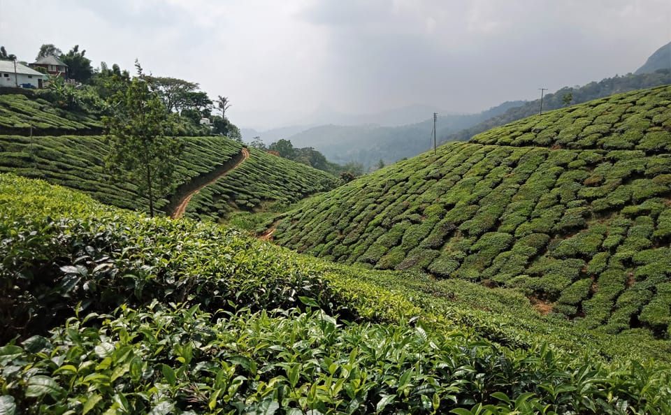 Cultural and Culinary Tour from Bangalore to Alappuzha