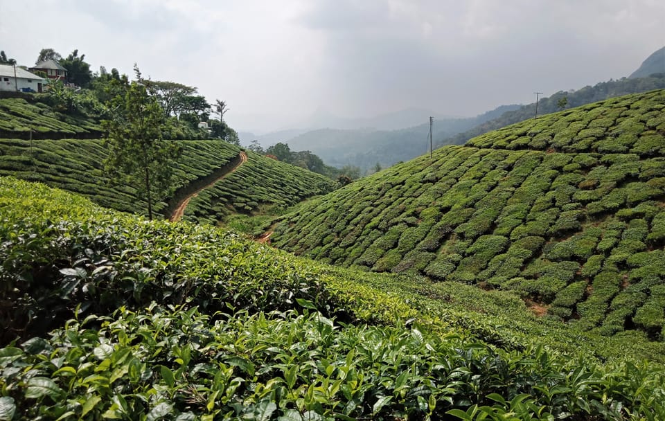 Cultural and Culinary Tour from Bangalore to Alappuzha