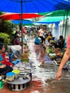 Luang Prabang Morning Alms Giving  City Tour& Kuang Si Falls  3