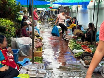 Morning Alms Giving and Kuang Si Falls Tour in Luang Prabang
