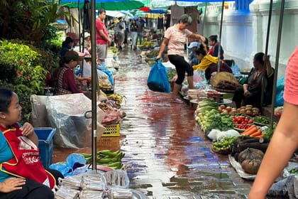 Luang Prabang Morning Alms Giving City Tour& Kuang Si Falls
