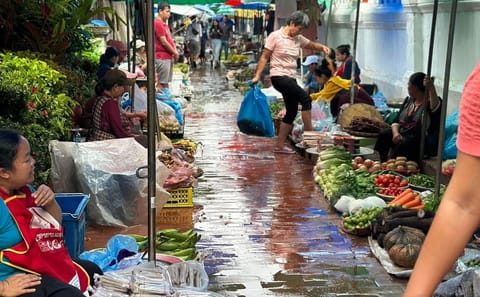 Morning Alms Giving and Kuang Si Falls Tour in Luang Prabang