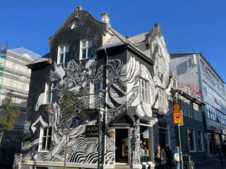 Reykjavik Street Art Backstreets and Stories , photo 12