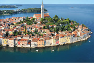 Truffle Hunting Experience in Poreč and Motovun, Croatia