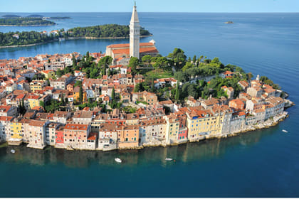 Croatia Gastro Experience: Private Become a Truffle Hunter For a Day – from Poreč and Rovinj