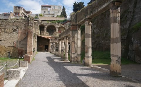 Herculaneum Archaeological Tour from Naples with Lunch