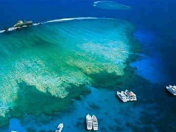 Snorkeling Tour at Tiran Island from Sharm El Sheikh