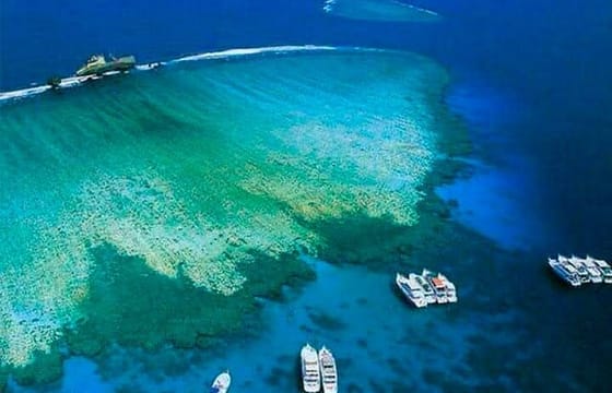 Tiran Island Snorkeling Tour with Transfers and Lunch Included