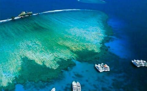 Snorkeling Tour at Tiran Island from Sharm El Sheikh