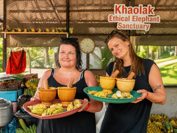 2-Hours Eco Guide Walking Tour in Khao Lak Elephant Sanctuary