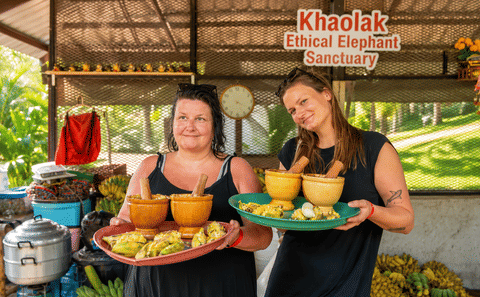 2-Hours Eco Guide Walking Tour in Khao Lak Elephant Sanctuary