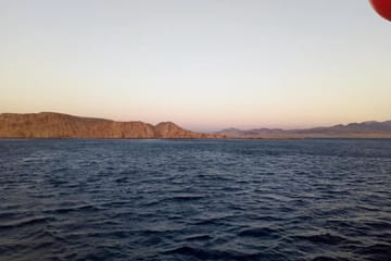Snorkeling with Turtles at Abu Dabab Bay from Hurghada