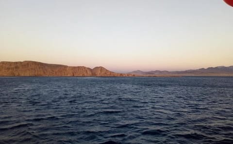 Snorkeling with Turtles at Abu Dabab Bay from Hurghada