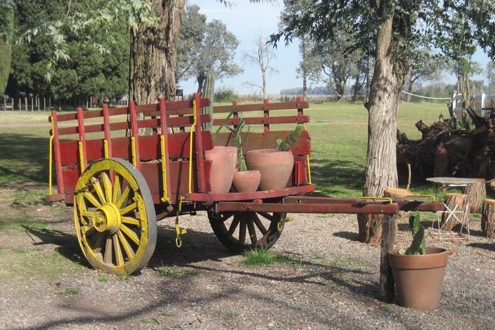 Don Silvano Ranch Gaucho Day Trip from Buenos Aires