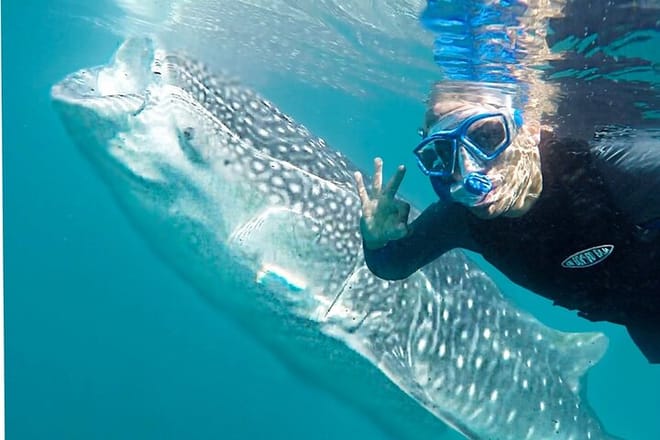 Sea of Cortez Combo: Whale Sharks, Sea Lions & Balandra Beach photo 2