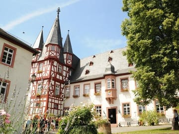 Excursion from Frankfurt to Rüdesheim – Half day
