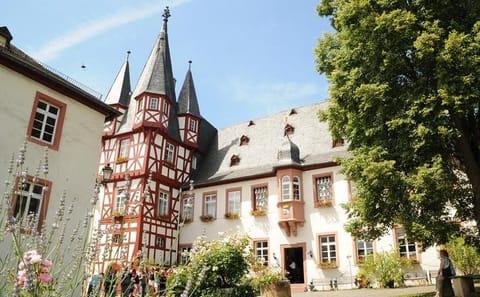 Half-Day Tour from Frankfurt to Rüdesheim am Rhein