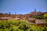 Day Trip from Rome to Tuscany by high speed train: Medieval Towns & Chianti Wine Tasting 2