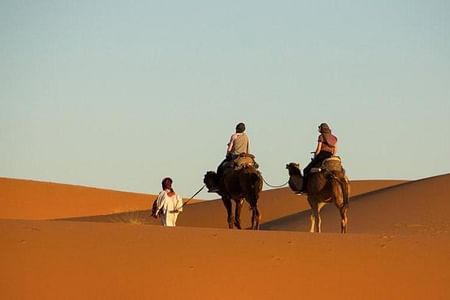 Camel Ride Adventure in Erg Chebbi Dunes with Authentic Berber Lunch