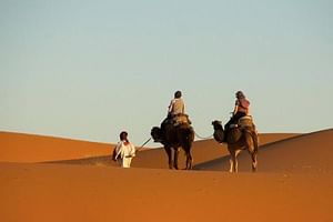 Day Trip By Camels In Erg Chebbi Dunes, Lunch With Berber Pizza