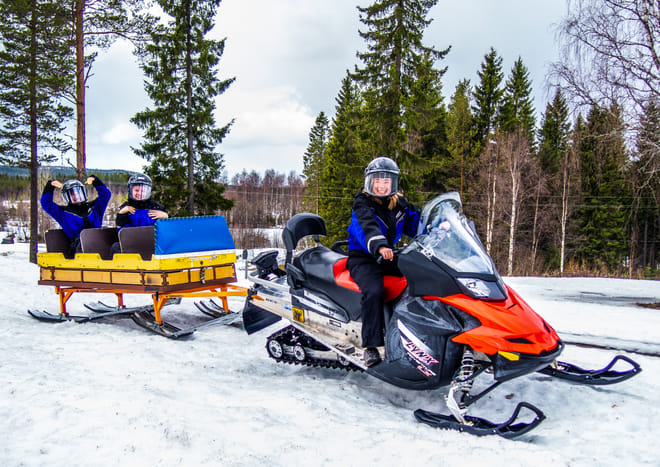 Visit a Reindeer Farm and Husky Farm by Snowmobile Sleigh - Rovaniemi photo 5