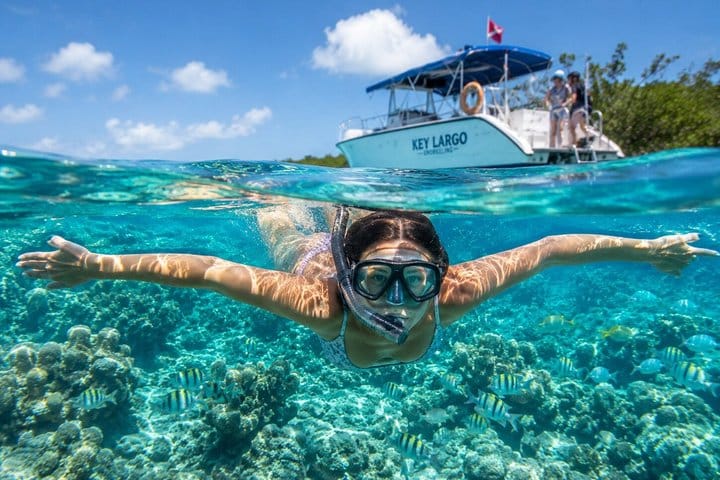 Key Largo Beginner Snorkeling Tour