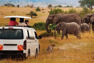 4 Days Masai Mara Camping Guided Safari From Nairobi