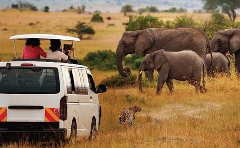 4-Day Guided Camping Safari in Masai Mara from Nairobi