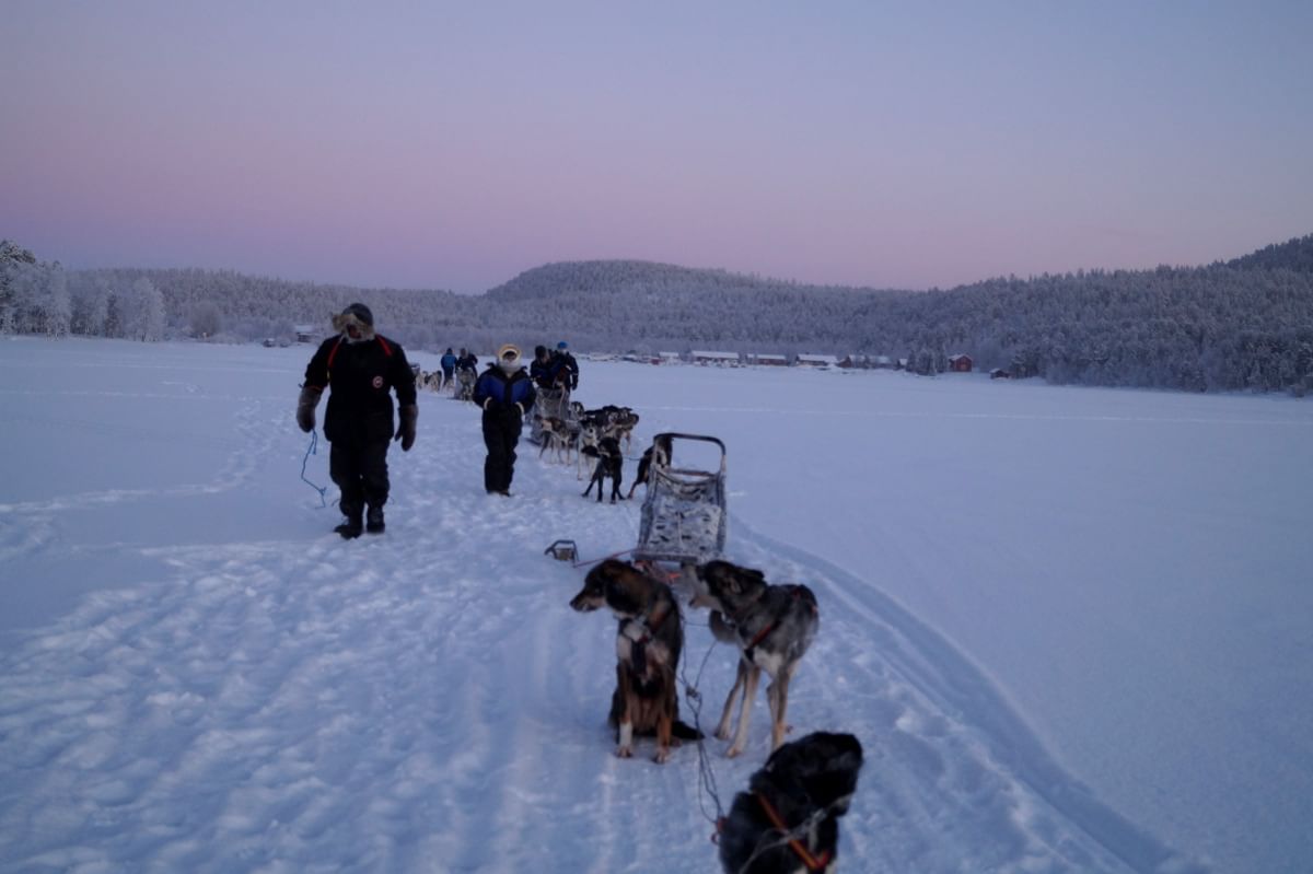 Winter husky safari