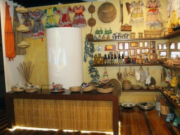 Cultural Bus Tour of Aracaju's Historic Highlights