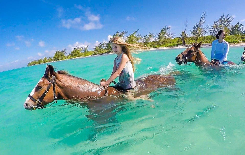 Horseback Riding Adventure in Hurghada, Egypt