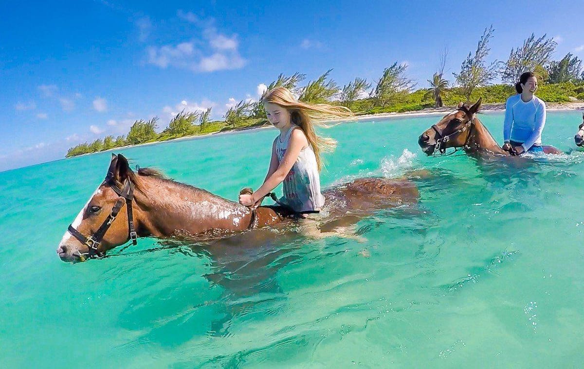 Exploring Hurghada-A Horse Ride Adventure