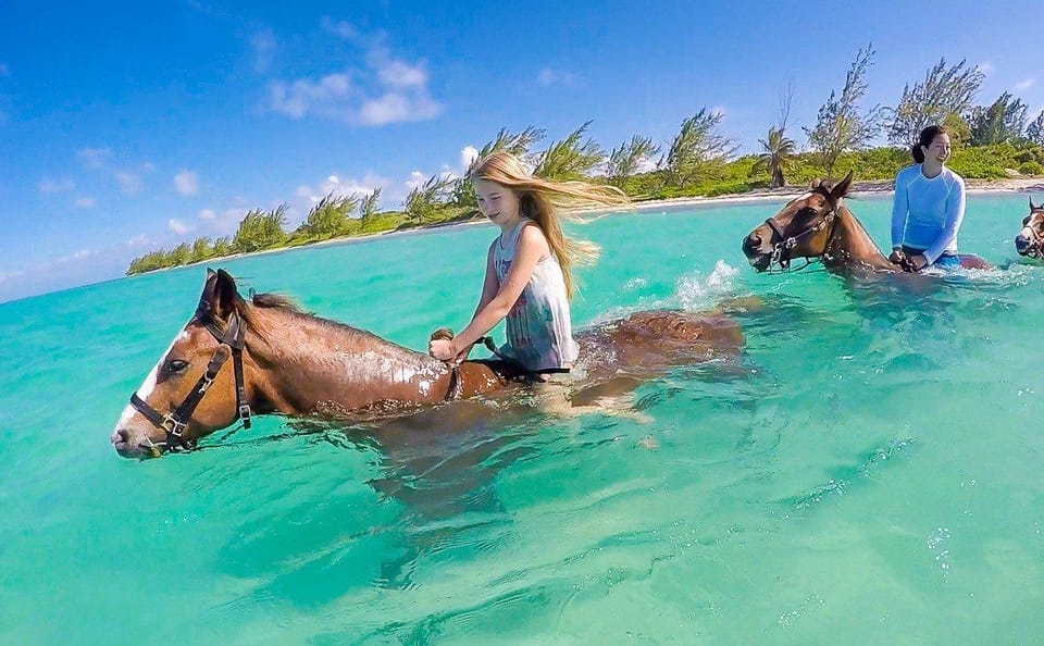 Horseback Riding Adventure in Hurghada, Egypt