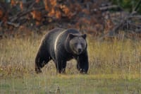 Banff/Canmore 7 iconic spots With Moraine and Lake Louise Best  9