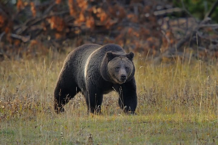 Banff/Canmore 7 iconic spots With Moraine and Lake Louise Best  9