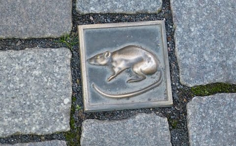 Guided Walking Tour of Historic Hamelin, Germany
