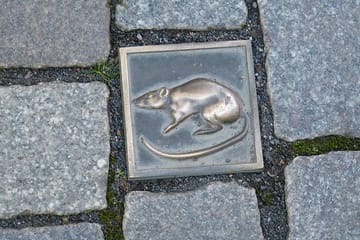 Guided Walking Tour of Historic Hamelin, Germany