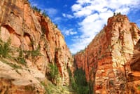 Private Tour to Zion national park