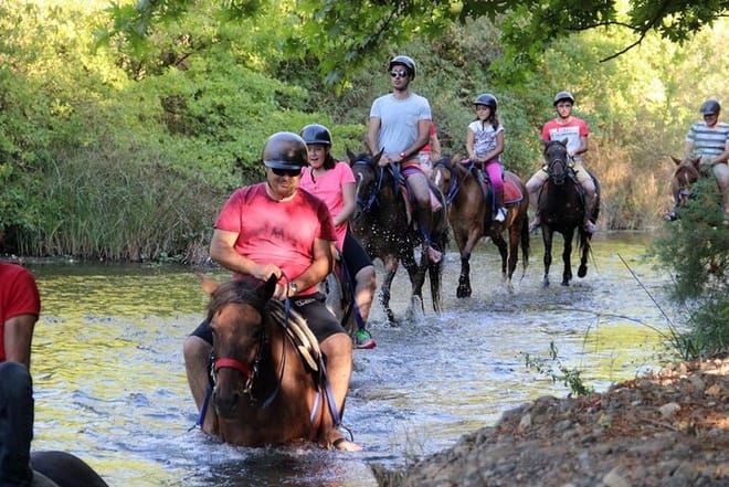 Fethiye Horse Riding - Professional Instructor & Friendly Horses 7