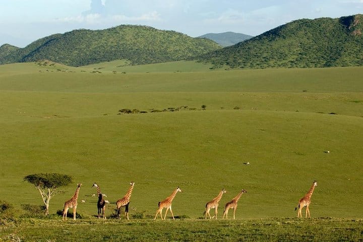 Things to do in Kenya