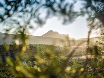 From Malaga: Antequera Heritage and Oil Mill land
