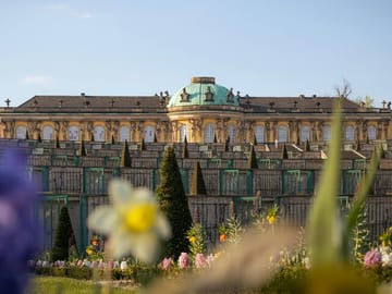 Potsdam Day Trip from Berlin: Explore Palaces and Gardens