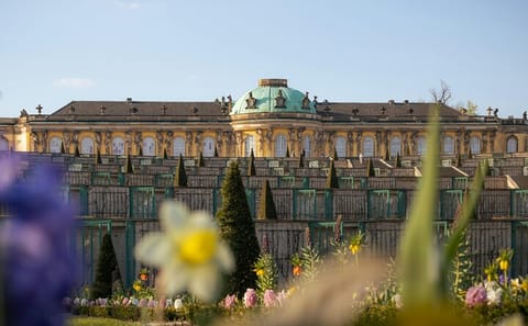 Potsdam Day Trip from Berlin: Explore Palaces and Gardens