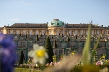 Potsdam Day Trip from Berlin: Explore Palaces and Gardens