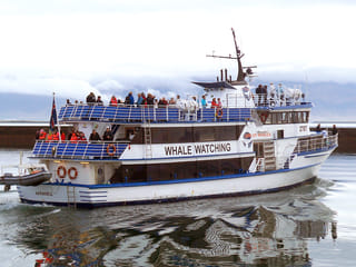 Whale Watching & Caving, photo 13
