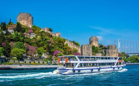 Byzantine and Bosphorus Tour with Transfers in Istanbul