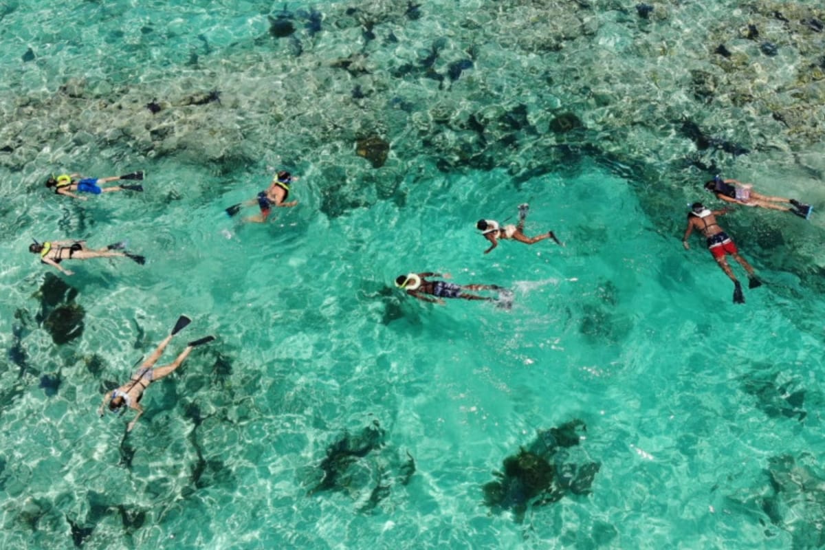 Key Largo Kayak Rentals: Single vs Double, and Where to Paddle