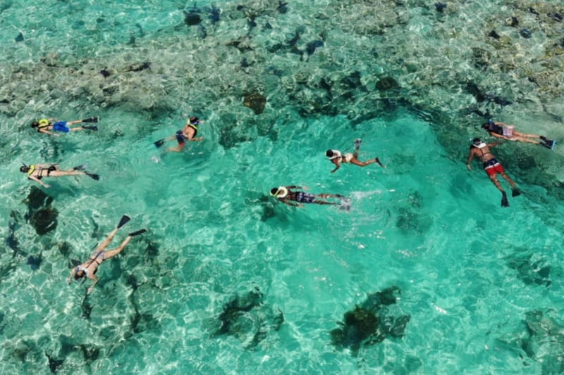 Stand-up paddleboarding along the Key Largo shoreline