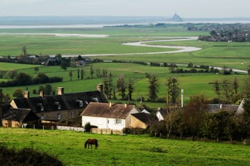 Private Day Trip from Paris to Deauville and Honfleur