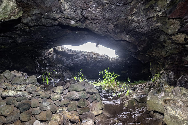 Rapa Nui underground: Half Day Private Trekking 8